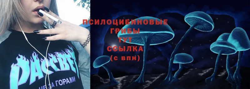 Галлюциногенные грибы Psilocybe Мичуринск